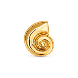 Pamela Shell Brooch