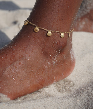 Regina Shell Anklet