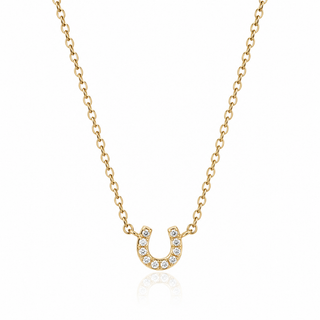 Horseshoe Pendent Necklace