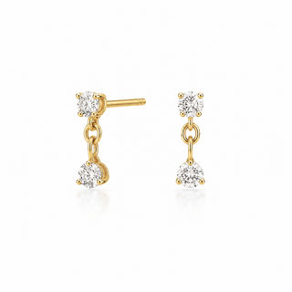 Double Drop Earring
