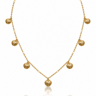 Shell Charm Choker Necklace