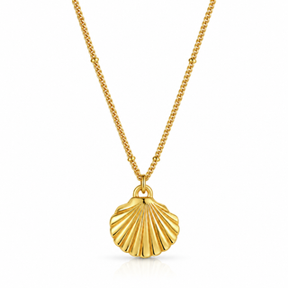Shell Pendant Chain Necklace
