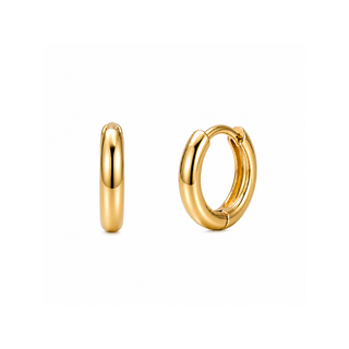 Huggie Hoop Earring