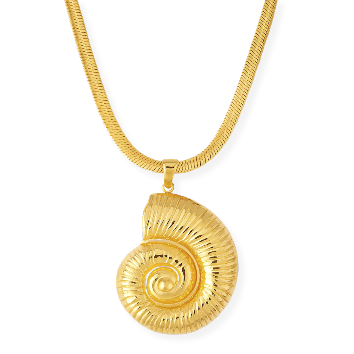 Llife VOLUTA SHELL NECKLACE