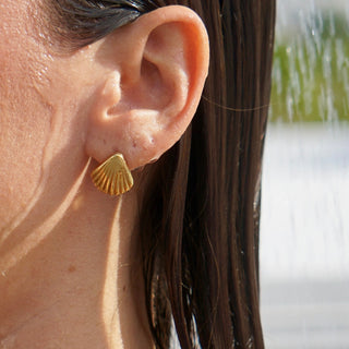 Ellie Vail - Libby Shell Drop Earring